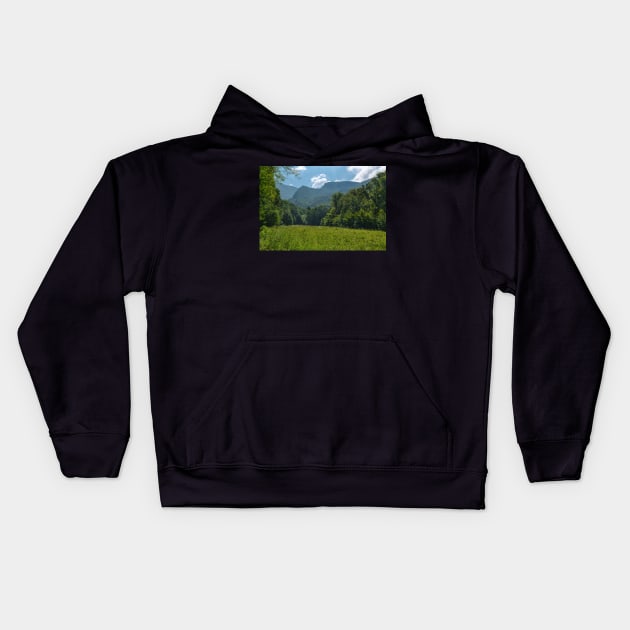 Deciduous forest in the summer Kids Hoodie by naturalis